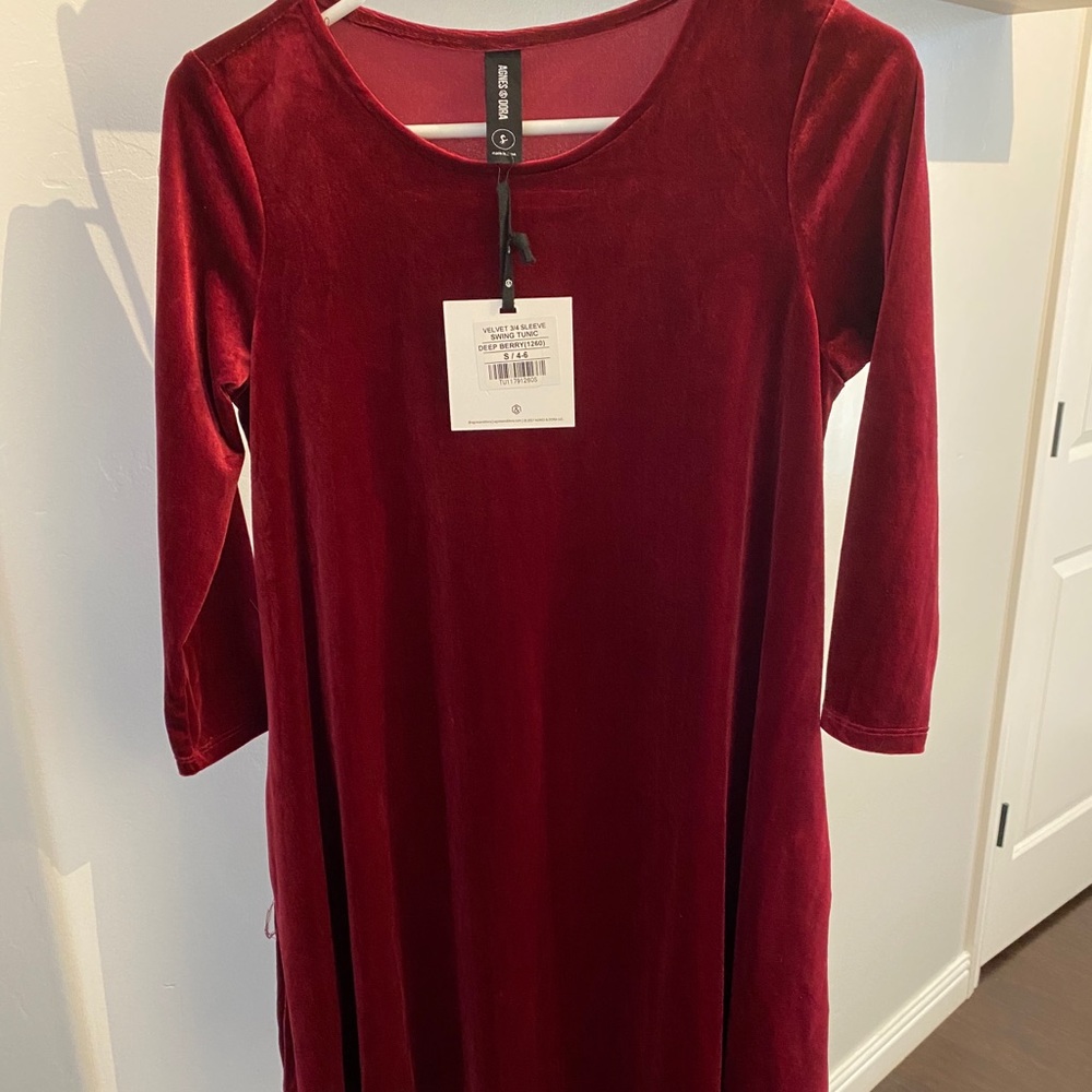 Agnes and Dora Maroon Velvet Dress
